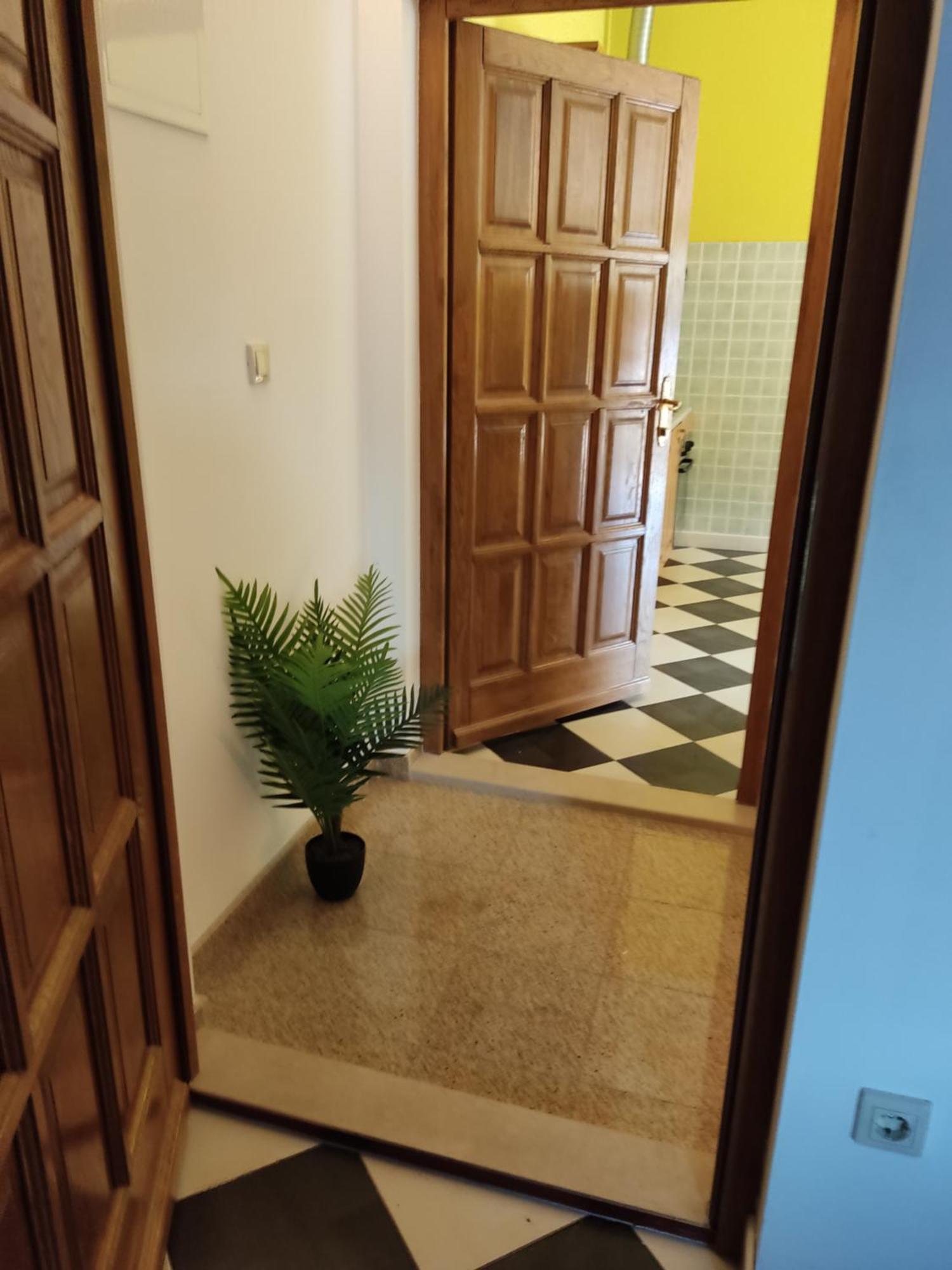 Apartments Ivana Lovište Extérieur photo